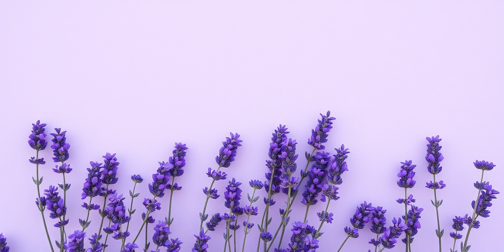 aesthetic lavender wallpaper