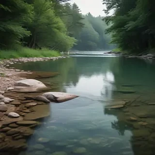 background river