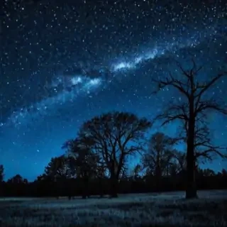 starry night png