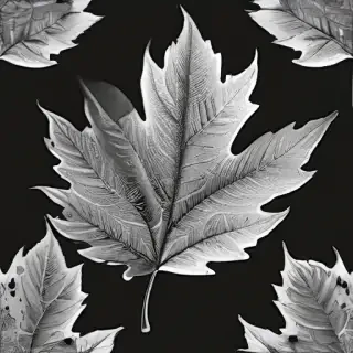 leaf white and black