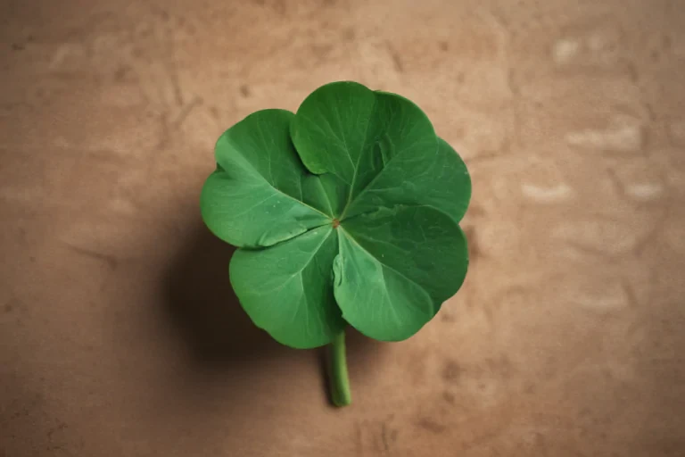 4 leaf clover png