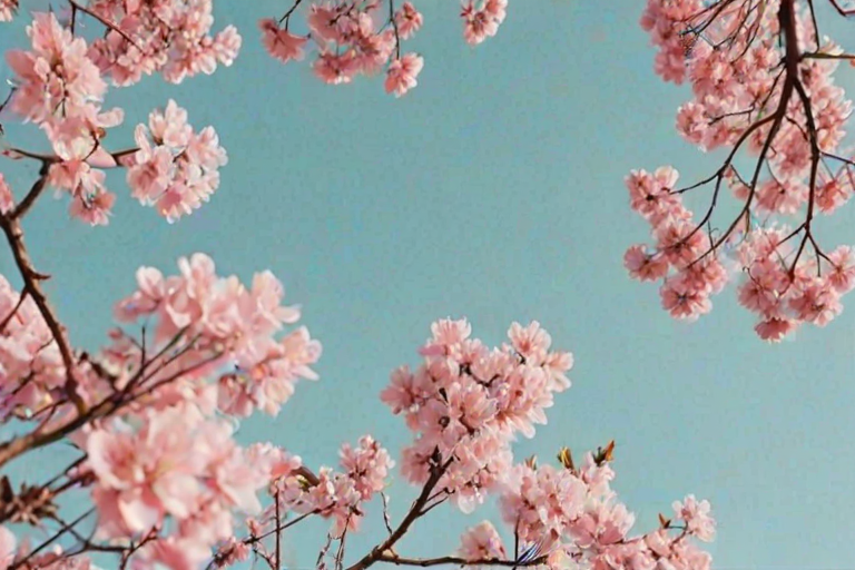pretty aesthetic wallpapers
