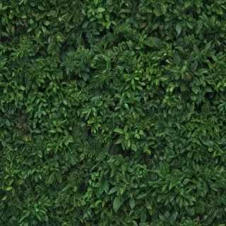 greenery png