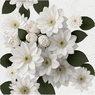 white flowers png transparent