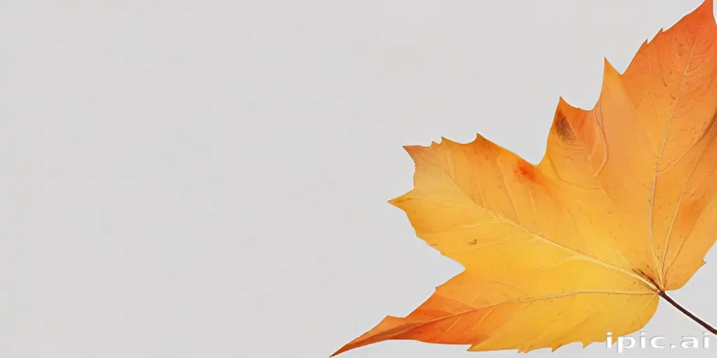 autumn leaf png