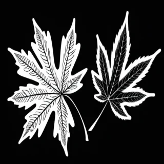clipart of leaf black and white