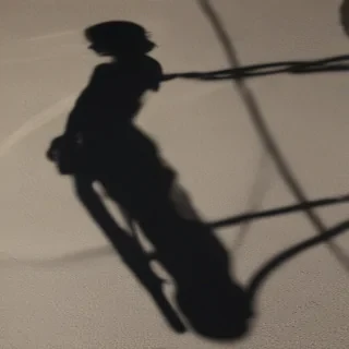 shadow transparent