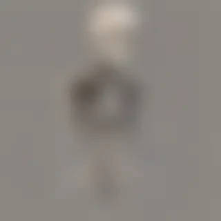 skelton png
