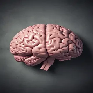 brain background