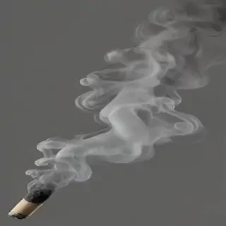 smoke no background