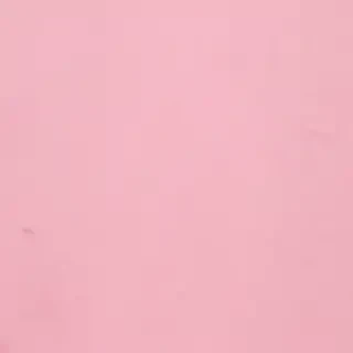 pastel pink bg