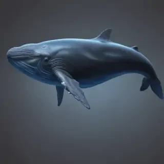 blue whale png