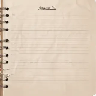 agenda png