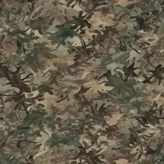 camo png