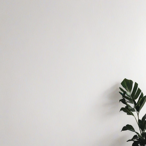 white background aesthetic