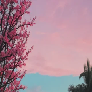 aesthetic ig story background