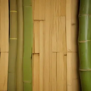 bamboo background