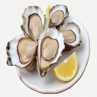 oysters png