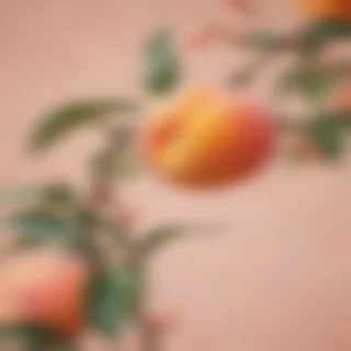 peach aesthetic wallpaper