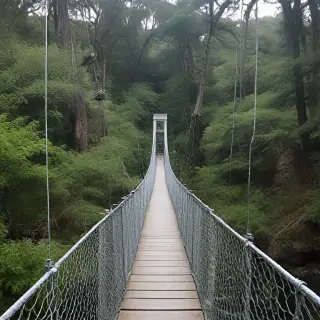 suspension bridge