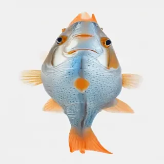 png fish