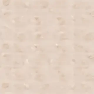 neutral aesthetic background