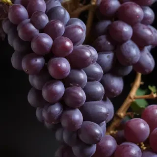 grape png