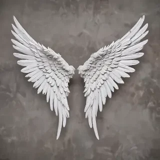 angel wing pictures
