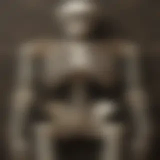 skeleton wallpaper