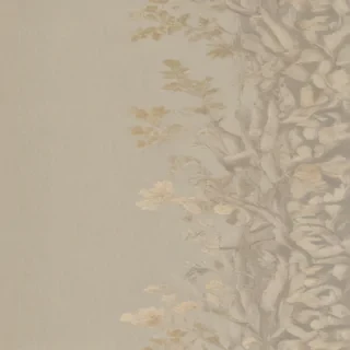 aesthetic plain wallpaper