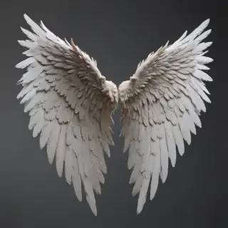 angel wings png