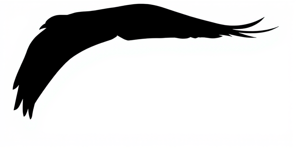 Create an abstract black silhouette of a bird in flight against a plain background.