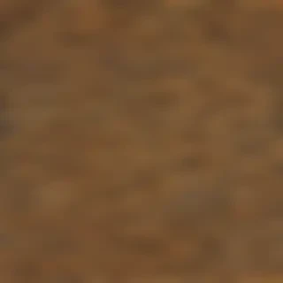 leopard print png