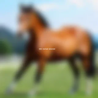 pictures of horses to draw