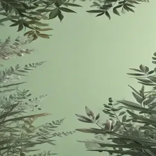 sage green aesthetic background