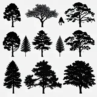 trees silhouette png