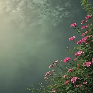 border bg