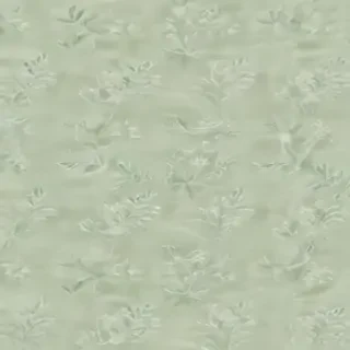 light sage green background