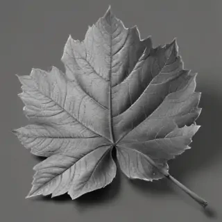 clipart of leaf black and white