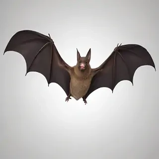bat png