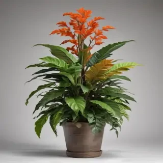 indoor plant png