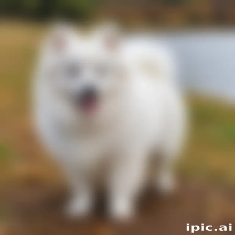 japanese spitz dog breed