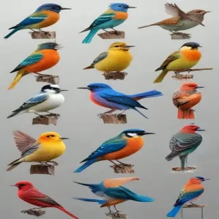 birds transparent background
