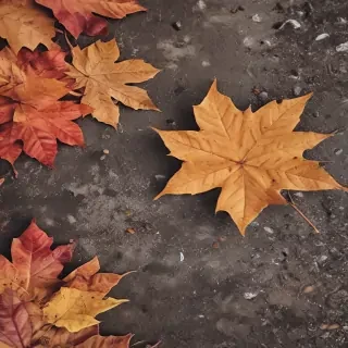 autumn background iphone
