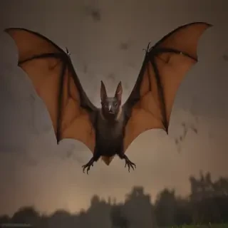 pictures of bats for halloween