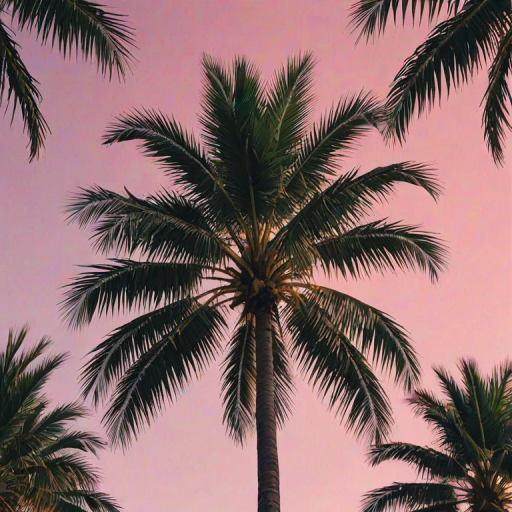 aesthetic palm tree wallpaper
