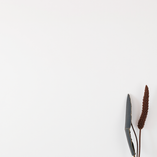 neutral aesthetic wallpaper