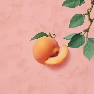peach aesthetic wallpaper