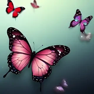 butterfly wallpaper iphone