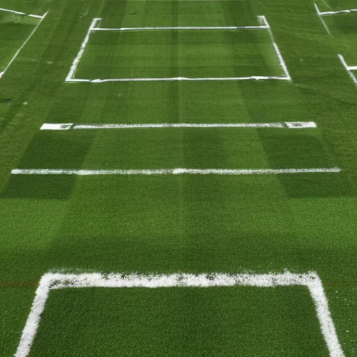 football field png